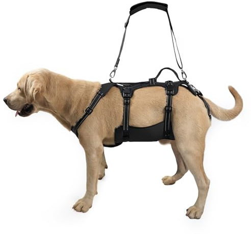 Coodeo Imbracatura per Cani, Supporto Completo e Fodera di Recupero, Regolabile con Cinghie Traspiranti per Cani Anziani, Disabili, con Artrite e Paralisi, aiuto per Camminare (Nero, XL)