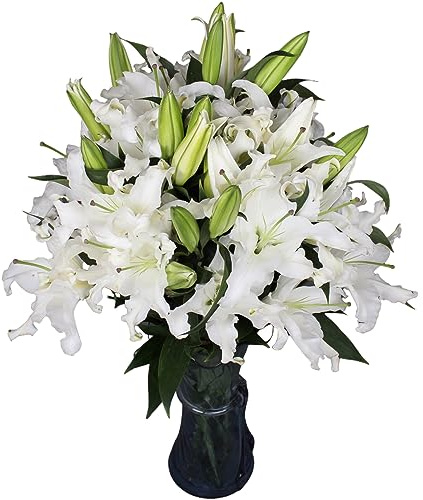 10 stems giant white lilies Fresh Flower Bouquet Gifts for Birthday Anniversary Friendship and Love