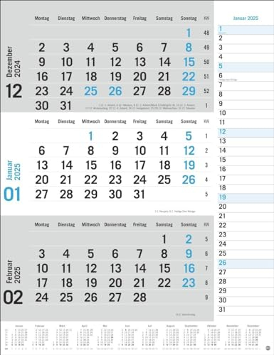 3-Monats-Planer, blau 2025: Praktischer Wandplaner mit Datumsschieber. Büro-Kalender mit Notizspalte und Jahresübersicht. Wandkalender 2025 fürs Büro. 30 x 39 cm. (Bürokalender Heye)
