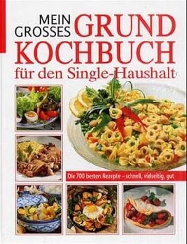 Mein grosses Grundkochbuch für den kleinen Haushalt: Die 800 besten Rezepte - schnell, vielseitig, gut