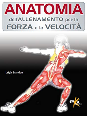 Anatomia dell'allenamento per la forza e la velocità