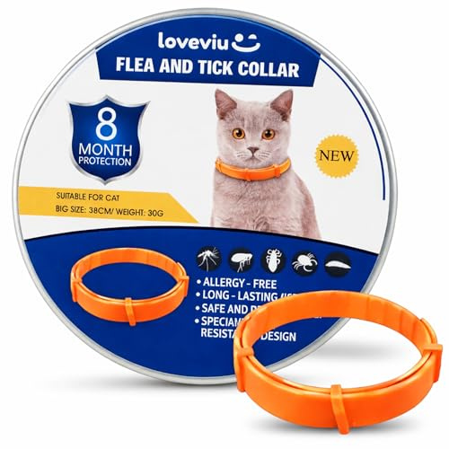 Collar Antiparasitario Gatos - 100% Natural – Protección 8 Meses contra Pulgas, Garrapatas, Mosquitos & Piojos – 38 cm, Impermeable y Ajustable, Uso al Aire Libre (Naranja)