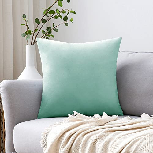 MIULEE 1 Stück Samt Kissenbezug Kissenhülle Dekorative Sofakissen Dekokissen Deko Couchkissen Zierkissen Bezug mit Verstecktem Reißverschluss für Sofa Schlafzimmer 40x40 cm Salbei Grün