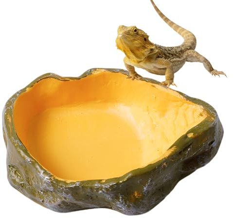 ZZHBOO 1 Pezzo Terrario per Rettili, Ciotola per Cibo Anfibi in PVC, Scodella per Rettili e Lucertole, Tartarughe, Camaleonti, per Terrario