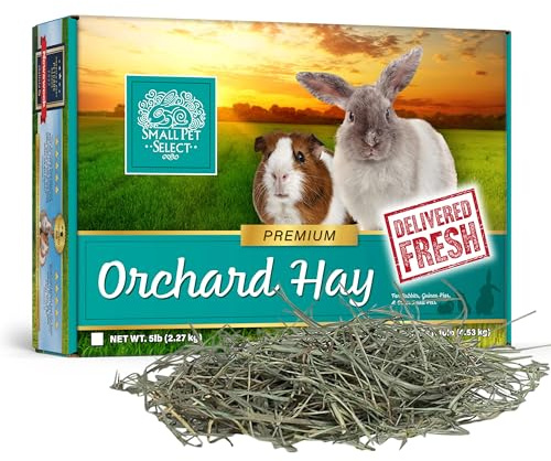 Small Pet Select Orchard Grass Hay Pet Food for Rabbits, Guinea Pigs, Chinchillas and Other Small Animals, Premium Natural Hay Grown in The US, 5lb (2.27kg)