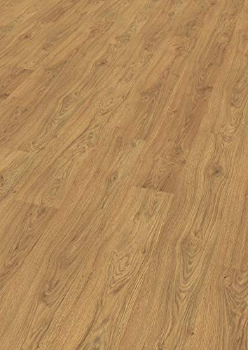 EGGER Home Laminatboden EHL185 Matera Eiche honig (8mm, 1,995m²) | authentische Holzoptik | | Einfache Verlegung durch CLIC It! System | Praktisch & wertbeständig