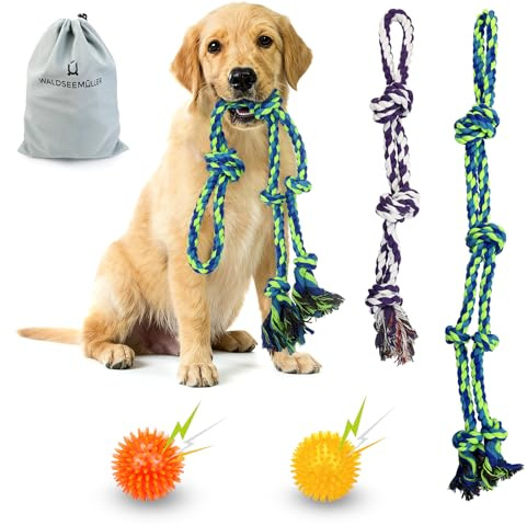 Waldseemüller Set di 4 giocattoli per cani, giochi per cani, giochi interattivi, pallina interattiva, pallina per cani di grossa taglia con una confezione regalo
