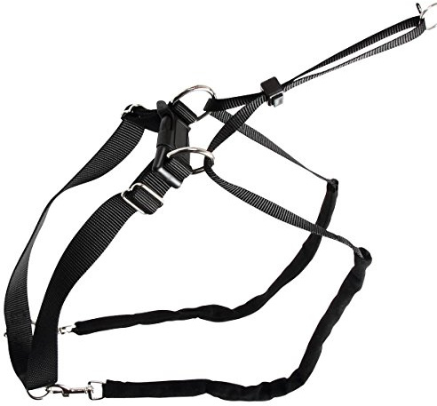 Kerbl Chien Harnais Maxi Leader 45-60 cm Noir
