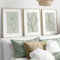 3er Set Premium Poster Set, Moderne Salbei Grüne Pflanzen Abstrakt Kunst Wandbilder, Boho Deko Bilder Für Wohnzimmer Schlafzimmer - Ohne Rahmen (30x40cm)