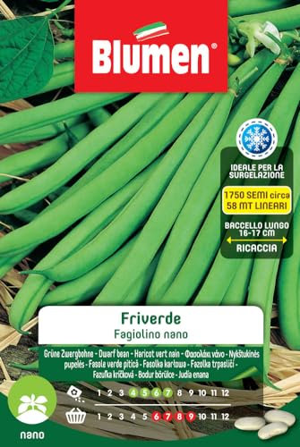 SEMI DI FAGIOLINI NANI FRIVERDE BLUMEN