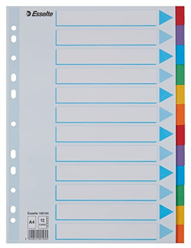 Leitz ESSELTE 100194 - Separadores para carpetas cartón 200 gr. 12 pestañas DIN A4