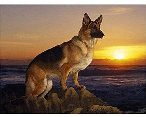 German Shepherd Diamond Painting YIOITTIO Full Round Stone Dog Diamond Embroidery of Rhinestones DIY Hobby Needlework Paint Art-16x20 in(40x50cm)