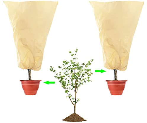 CINGHIA Protection Plantes,Voile Hivernage Plante,Voile D Hivernage 2 Pièces Housse de Protection pour Plantes,120x80cm Housse dhivernage Non tissée Housse Hivernage Plante Réutilisable