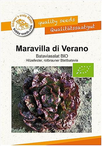 BIO-Salatsamen Maravilla di Verano Bataviasalat Portion