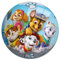 John 50952 Ball-9 23 cm Spielball Vinylball Kinderball Mehrfarbig Buntball Paw Patrol 9'' bunt