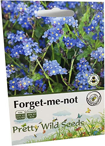 Forget Me Not Seeds Wild Flower Meadow Seeds Pictorial Packets Approx. 1000 Seeds