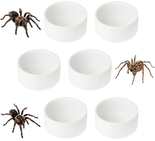6 Pcs Spider Micro Ceramic Water Bowl, Mini Pet Dish for Spider (1 oz)