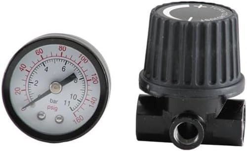 Bostitch BTFP72326 Regulator and Gauge Kit, 1/4-Inch NPT Thread