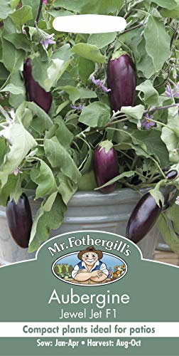 Mr Fothergill’s 23888 Aubergine Jewel Jet F1 Vegetable Seeds, Purple, 5.0 mm*145.0 mm*75.0 mm