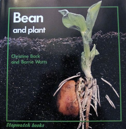 Bean and Plant