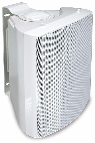 Visaton 50311 Lautsprecher WB 13, 100V+8 Ohm weiß