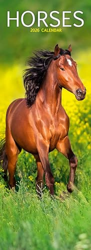 Horses Slim 2026 Calendar | Slimline Wall Calendar | Animal Gift | Plastic Free Packaging | by Avonside Publishing