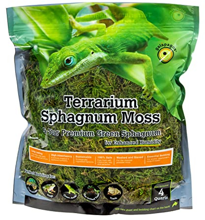 Galápagos (05213) Terrarium Green Sphagnum Moss, Natural, 4 Quart