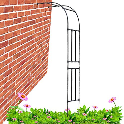 Arche de jardin en métal robuste de 240 cm de haut, treillis pour plantes grimpantes, support de plantes grimpantes, tonnelle demi-arc pour vignes et fleurs (60 x 240 cm)