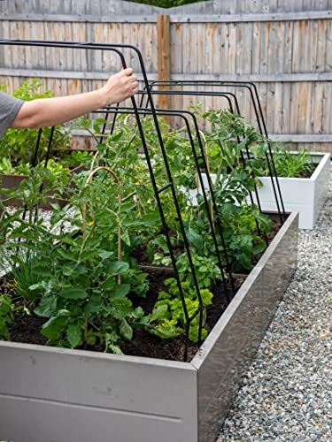 Gardener's Supply Company Zenith Garden Hoops - Set of 4 | Square Garden Hoops Provide Extra Head Spade - Fits Any 4 Ft Wide Garden Bed | Power-Coated Weatherproof Steel Plant Protection