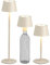 Northpoint 3in1 LED Tischlampe Flaschenleuchte in Beige max. 45cm hoch mit 3000mAh Akku 200lm warmweißes Licht (3000K) stufenlos dimmbar für Innen und Außen