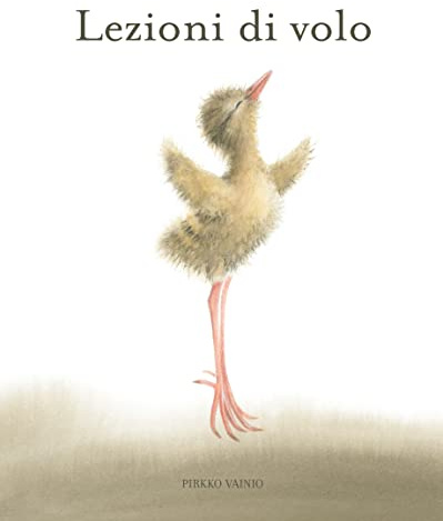Lezioni di volo. Ediz. illustrata