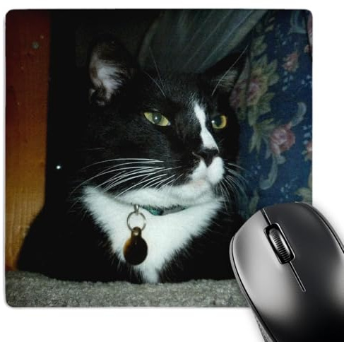 Musmatta svart smoking katt sitter ner förbättrar hastighet och precision musmatta vattentät skrivbordsdyna för dator skrivbord arbete 25 x 30 cm