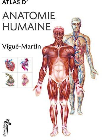 Atlas d'anatomie humaine