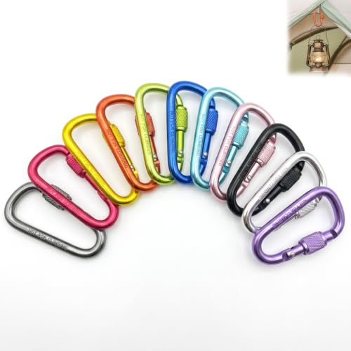 11PCS Mousqueton Aluminium, Petit Mousqueton Porte Clé, Mousqueton à Ressort en Forme D avec Verrouillage à Vis, Mousqueton Escalade Léger Anticorrosion pour Camping Randonnée Pêche et Sac