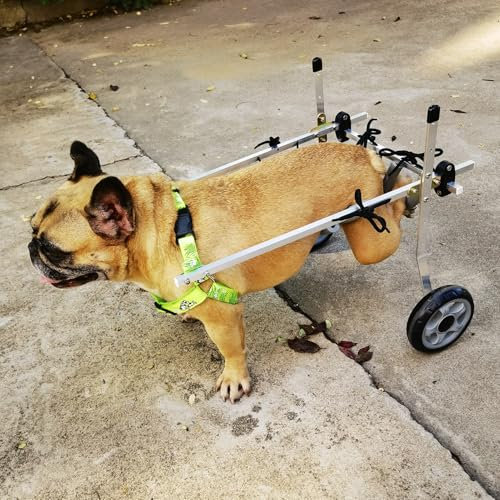 Hunderollstuhl Verstellbarer Hunderollstuhl für die Hinterbeine, Katzen-/ Hundefahrradanhänger mit Langlebigen Lagern, Rollstuhl zur Mobilitätsunterstützung für Haustiere mit Einem Gewicht(SIZE S)