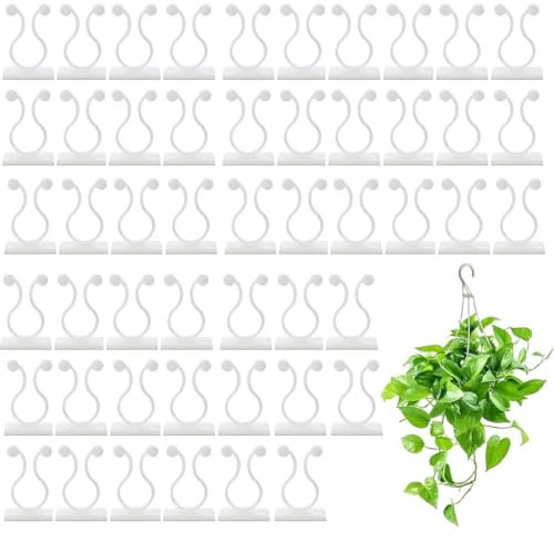 EYVRPAU 50 pièces Plante Grimpante Support Clips, Crochet Fixateur Mural Auto-adhésif, Attache et Clip pour Plantes Murales, Tuteur et Accroche Décoration de la Maison