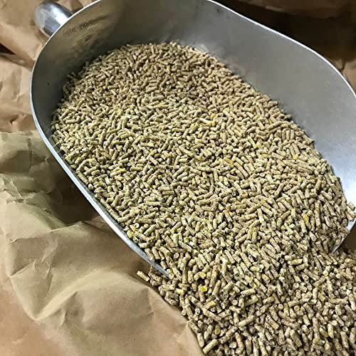 Wachtelkorn 25 kg | GVO-frei | ohne Gentechnik | Alleinfutter für Legewachteln | Wachtelfutter