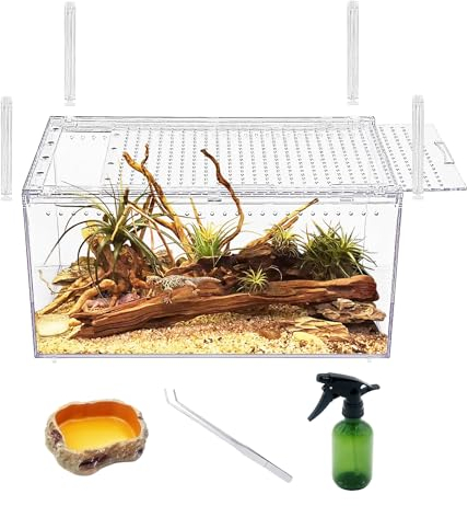 Reptile Growth【Keine Montage】 Reptilientank-Gehäuse mit Magnetknopf. 30x 20 x 15 cm Verdickungsschlangengehege Käfig, stapelbares Reptilienzuchtbecken für Insekten,Tarantel, Einsiedlerkrebse.