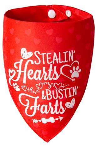 ICEMOOD 2-in-1 Bandana di San Valentino per Cani – Foulard reversibile con graziosi scritti e motivo a cuore, confezione da 1 con bottone a pressione, per cani grandi e molto grandi (a partire da