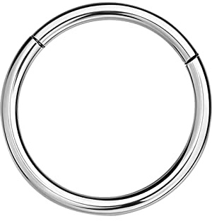 NAVZA Surgical Steel Nose Rings- Nose Hinged Hoops for Men and Women - Body Piercing Jewelry Earrings Lip Rings 6mm-7mm-8mm-9mm-10mm (Silver 20g, 6mm)