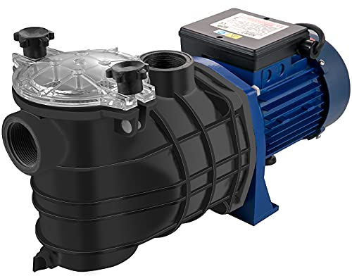 VEVOR Pompa Piscina Filtrazione 12000 L/h, 1 HP Pompa Circolazione Acqua con Cestello Filtro Rimovibile, Filtro 750 W, Altezza di Sollevamento Max. 14,5 M per Piscine Termali