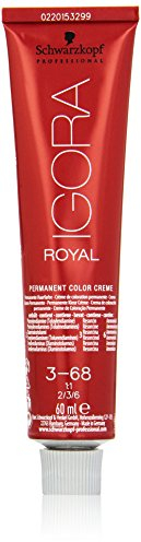 Schwarzkopf IGORA Royal Premium-Haarfarbe 3-68 dunkelbraun schoko rot, 1er Pack (1 x 60 g)