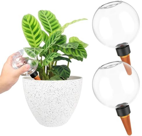 Znnhnn 2 Stück Pflanzen Bewässerungskugeln Selbstbewässerung 500ml Wasserspender Pflanzen Wasserspeicher Wasserkugeln Pflanzen Gießkugeln Im Urlaub Plant Watering Dispenser Bewässerung Topfpflanzen