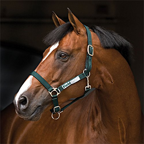 Rambo FIELDSAFE Safety Halter Pony Green