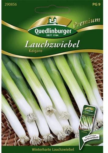 Lauchzwiebel, Kaigaro