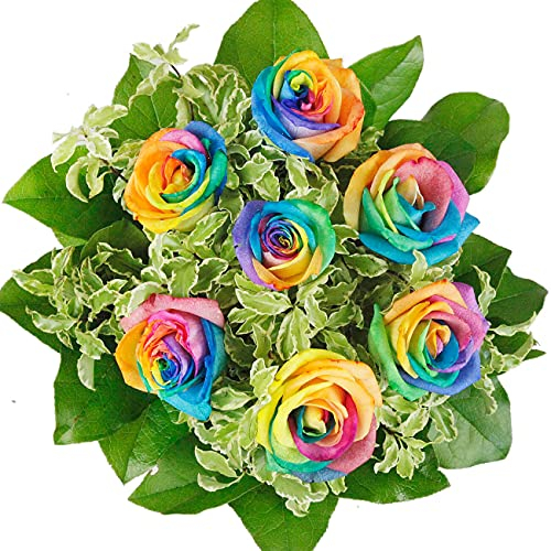 Blumenstrauß - Rainbow Strauß mit bunten Regenbogenrosen # Geburtstag # Regenbogen # Rosen