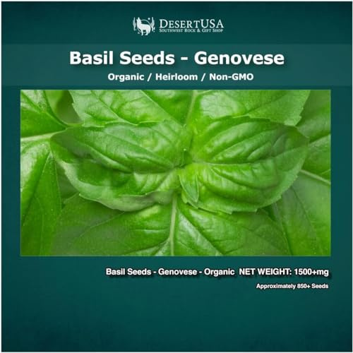 DesertUSA Organic Basil Seeds - Genovese - Ocimum basilicum - Seeds for Planting, 1550+mg - 860+ Herb Seeds, Indoor or Outdoor Growing, Heirloom, Non-GMO