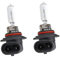CARALL 2 Pezzi Lampada HIR2 9012 PX22D 12V 55W