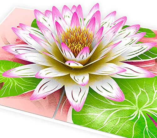 Hartensteler® Pop-Up Karte Weißer Lotus - 3D Weiße Lotus-Karte für Frau, Freundin & Mutter (Geburtstagskarte, Gute Besserung, Danke, Jahrestag)