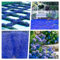 10000 Stück Thymian Samen, Bodendecker Winterhart Mehrjährig, Einfach Zu Pflanzen Blumensamen, Blau Kriechender Thymian Für Garten Und Balkon